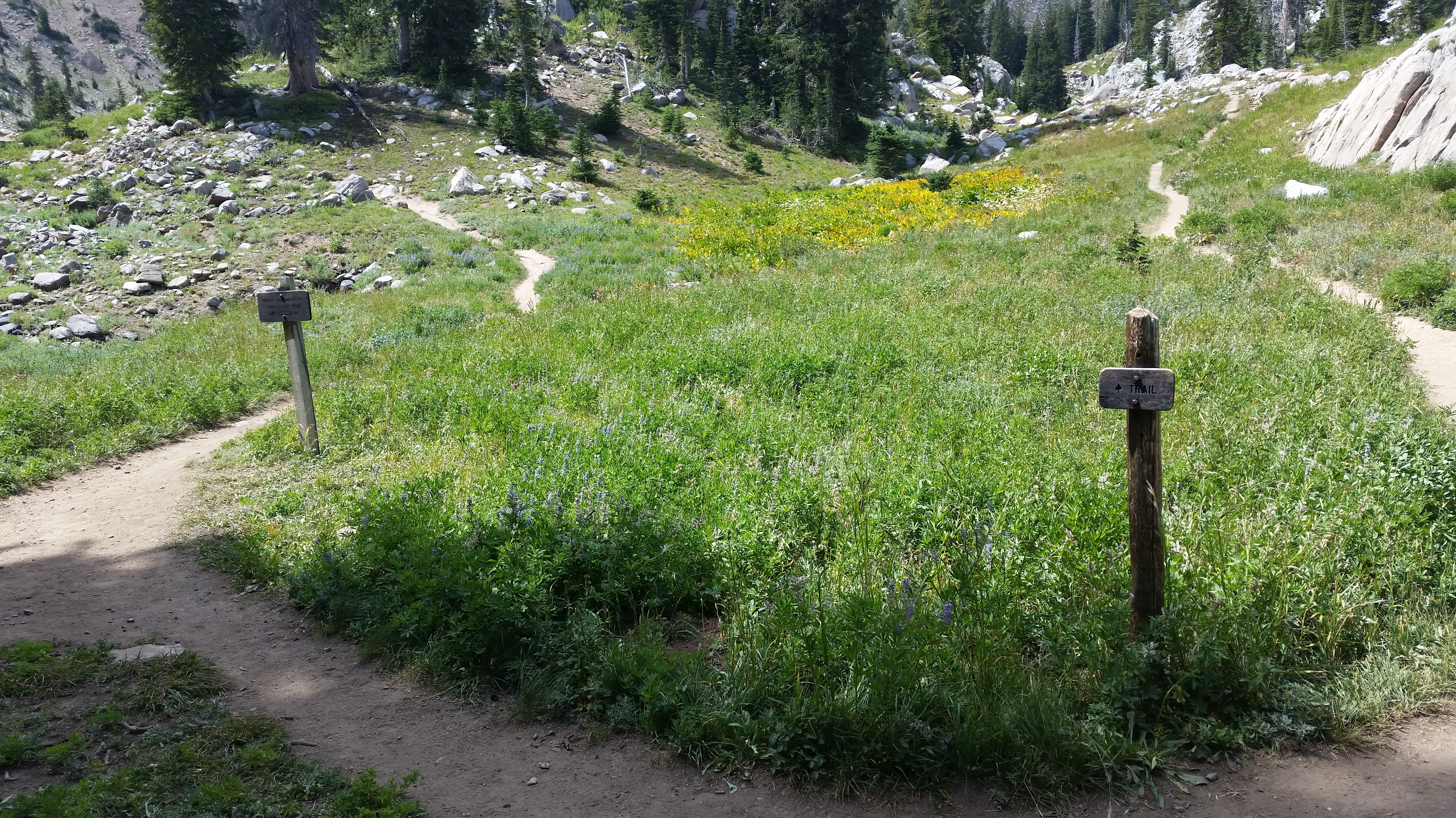 Snowbird – Utah · 2016